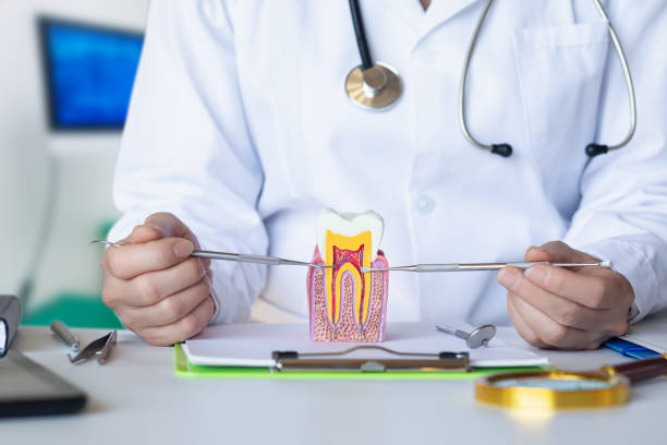 Best Emergency Dentist for Lost Fillings or Crowns in Hamburg, IA